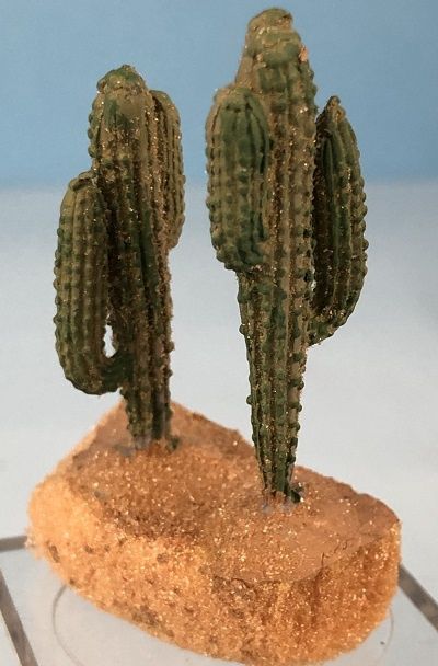 Large Cactus lgcati4469