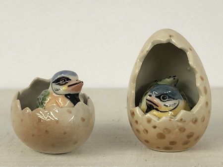 Larger Scale Birds in Shells birds000