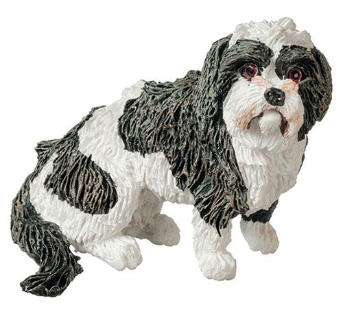 AZA6025 Lhaso Apso