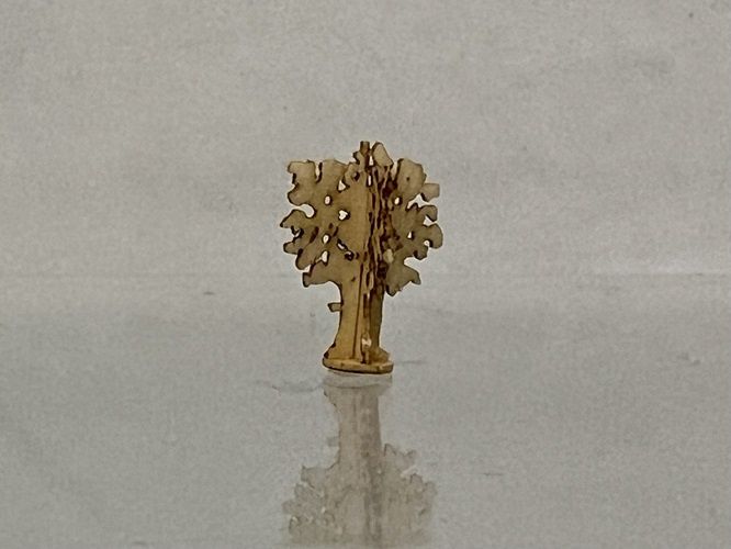 Maple/Oak Tree mn353o5