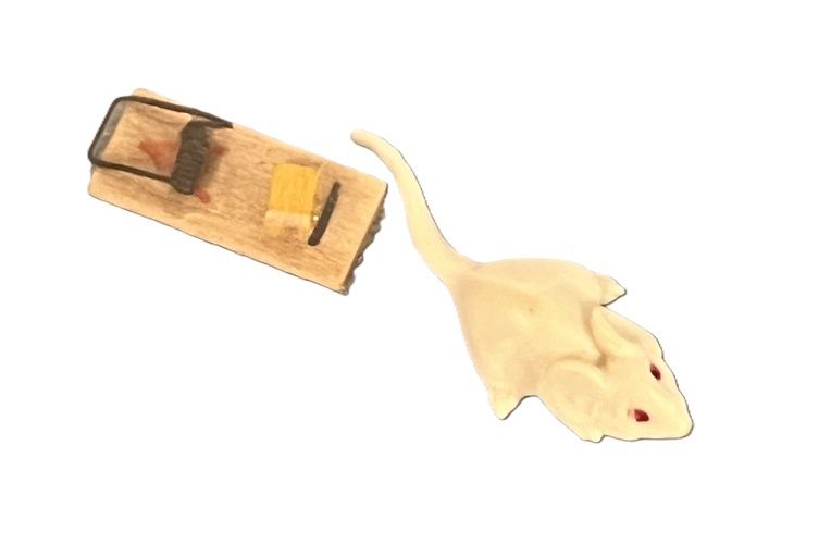 Mouse with Mouse Trap mc1526x