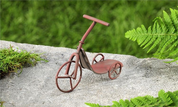 Mini Garden Tricycle 705779