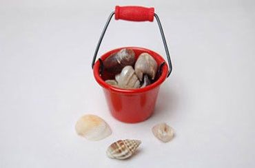 Mini Pail with Shells JOS5893