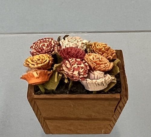 Multi-colored Mums in Planter MC225x