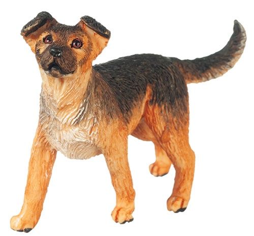 AZA6037 MIXED BREED SHEPHERD