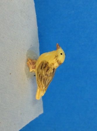 Norwich Fancy Canary A1300