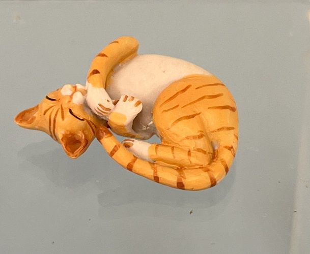 Orange and White Tabby Asleep on Back a70or