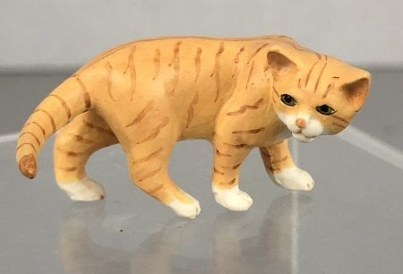Orange Tiger Cat Looking Back A61or