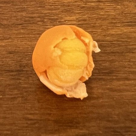 Orange being peeled th006