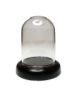 Medium Dome on Wooden Base bdsc21
