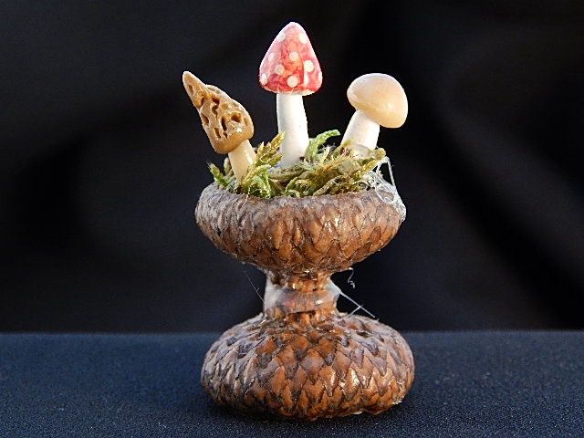 Mushroom Container tm7
