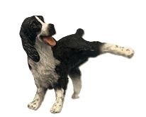Naughty Dog a829bk