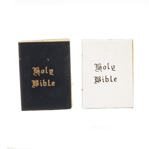 One Black and One White Bible B0260