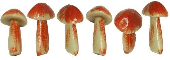 Natural Colored Mushrooms 10000147-1