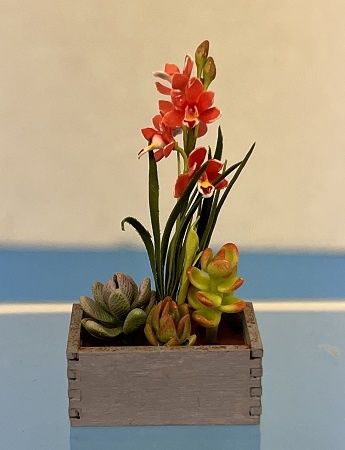 Orchid in Wood Box with 3 Succulents ala703