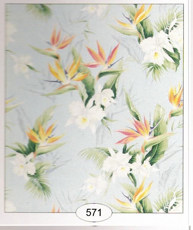 Orchids 571 wal570-1