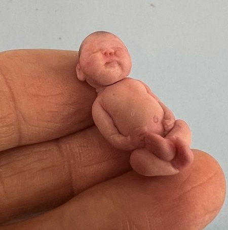 Newborn Baby mc05566z