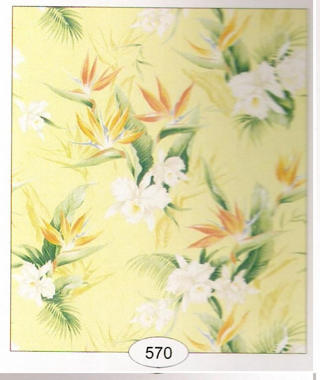 Orchids 570 wal570