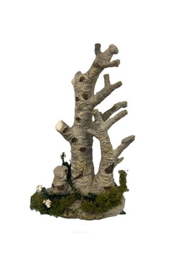 Old Narly Tree mc02955