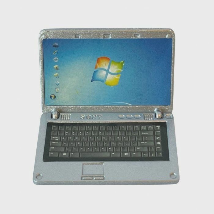 Opening Silver Laptop d4236