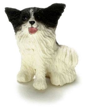 Papillon a859
