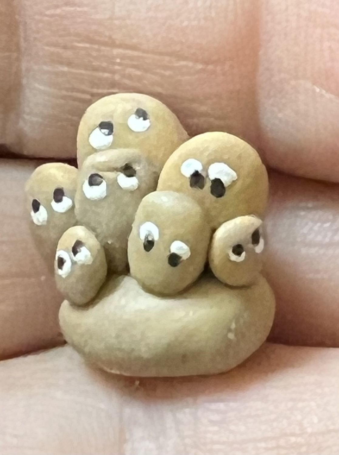 Pet Rock Family mc03097k