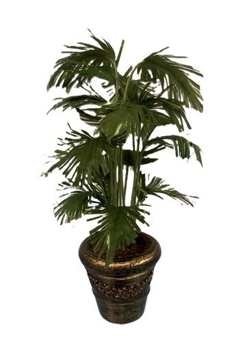 Parlor Palm in an Antiqued Pot mcbj311