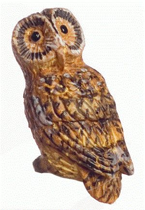 Pell's Fishing Owl a3234