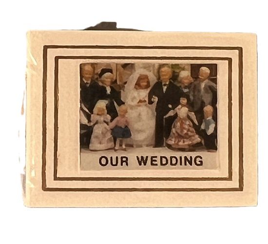 Our Wedding Photo Album and pictures dhs3021