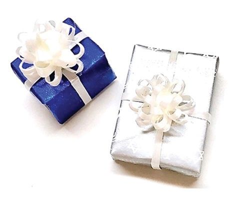 Pair of Chanukah Gifts cld611