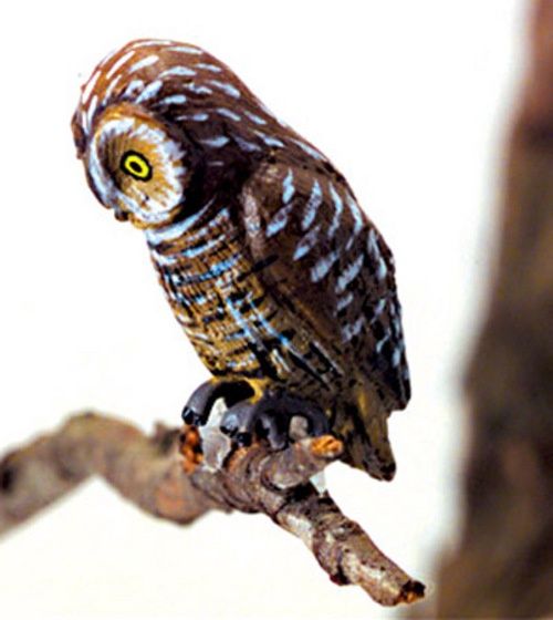 Pell's Fishing Owl epmc106