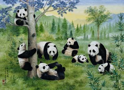 Playful Pandas - 5005 wal5005