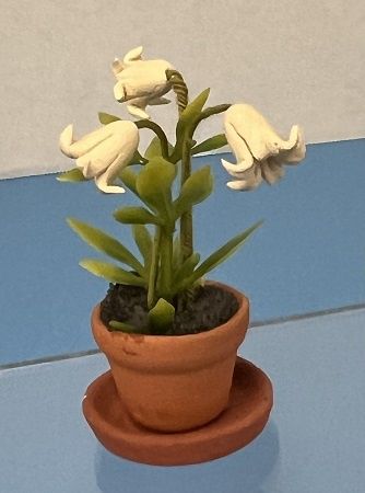 Pot with Saucer of White Lilies ala2844