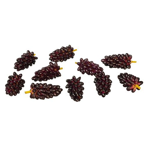 Purple Grape Bunches azg419