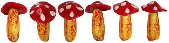 Red and White Speckled Mushrooms e3301