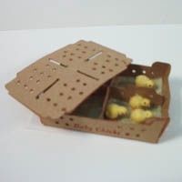Pullman Baby Chicks in Box CSL31