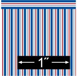 Regiment BPHCH206