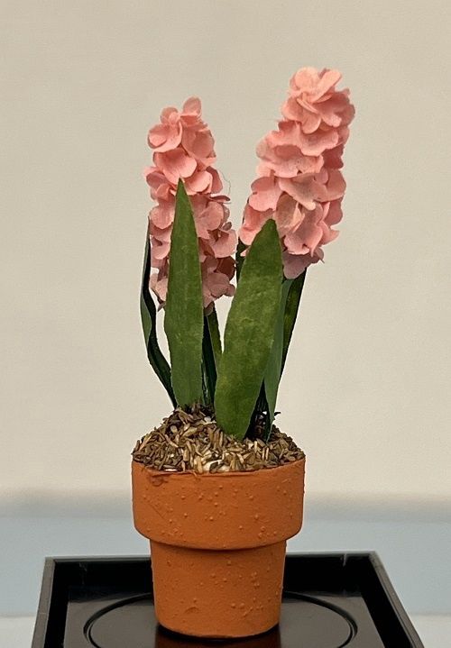Pink Hyacinth in a Terracotta Pot mc170x