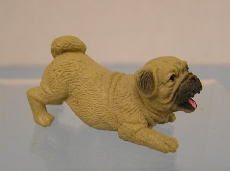 Playful Pug mc05288-1