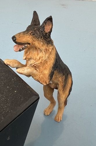 Playing German Shepherd mn604