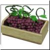 Produce Case bdbf008