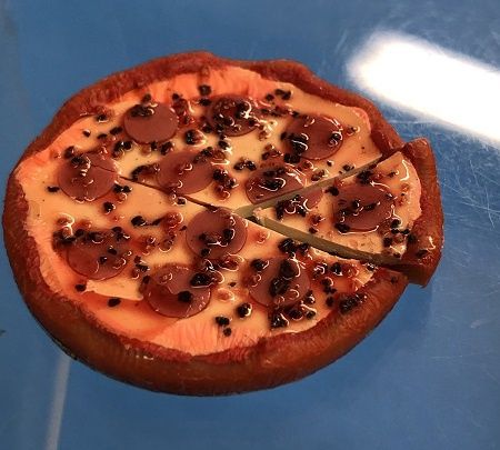 Pizza Pie that is sliced dhs9507