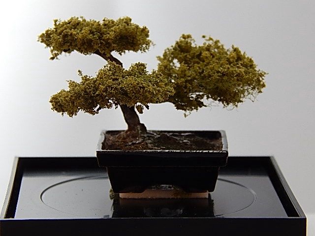 Posey Patch Bonsai lh29115