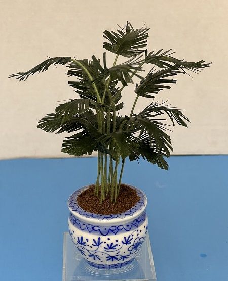 Potted Parlor Palm in Gold Pot mcbj311d