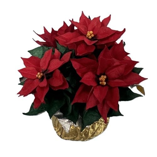 Potted Poinsettia Plant jc100x
