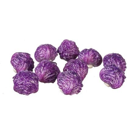 Purple Cabbage g6440