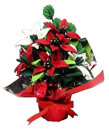 Red and White Poinsettias in Foil a306