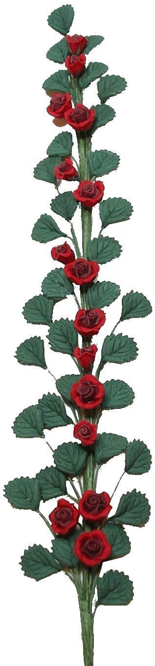 Red Climbing Rose Vine bdt0044