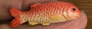 Red Snapper lv22828
