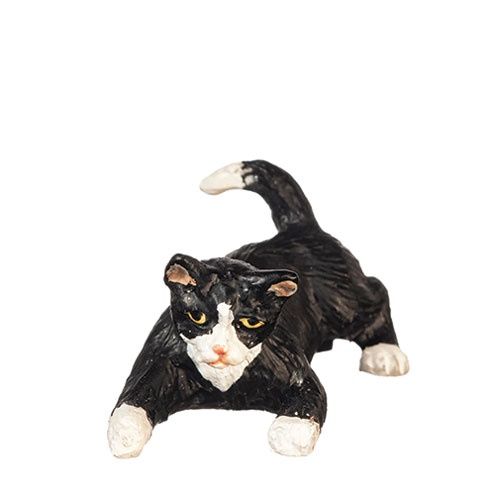 Playing Cat/Black/White AZE0172